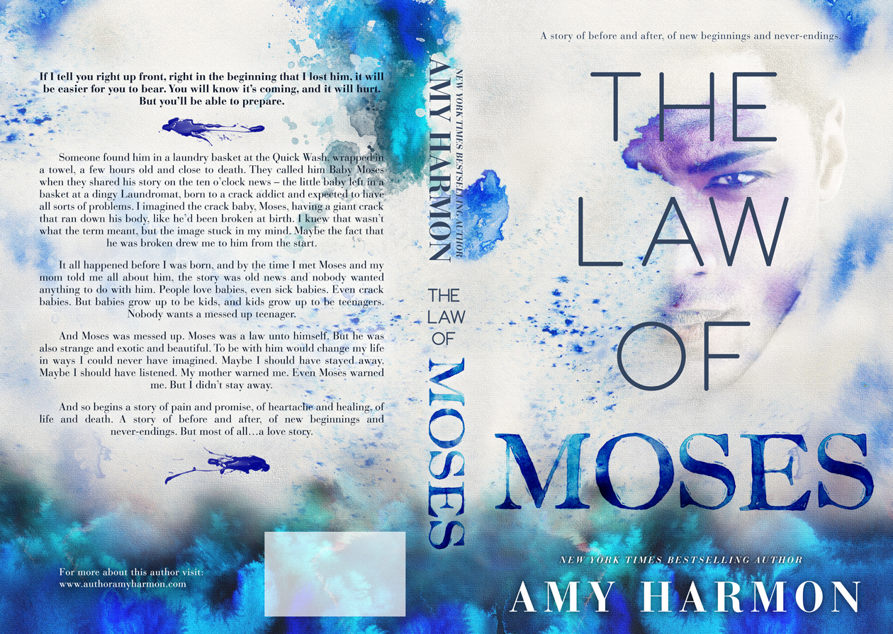 *~*The Law of Moses by Amy Harmon Pre Order - Excerpt*~*