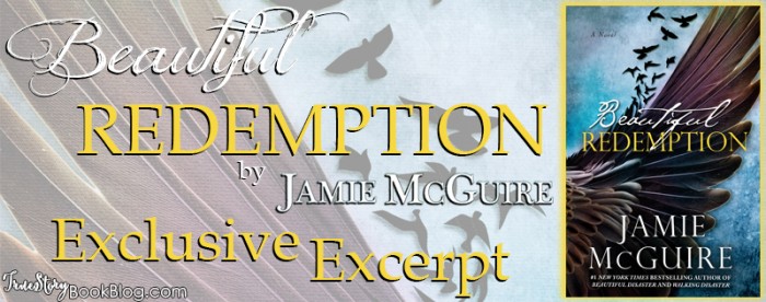 beautiful redemption excerpt banner ts