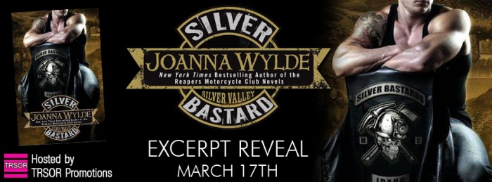 silver bastard excerpt reveal