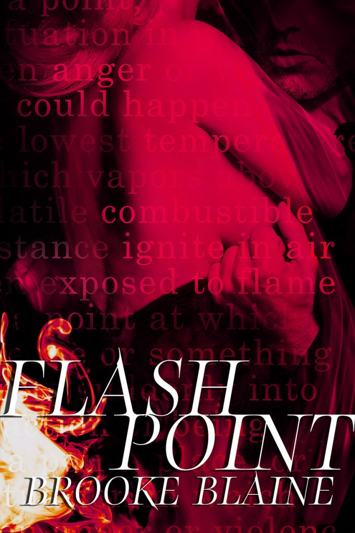 Flash Point EBOOK Cover