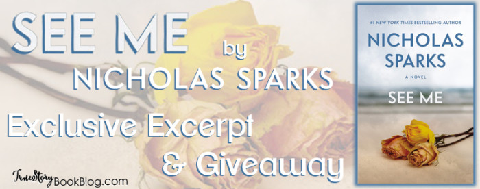 Nicholas Sparks Banner ts