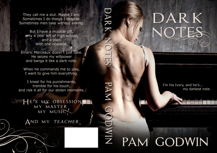 Dark Notes Pam Godwin Paperback